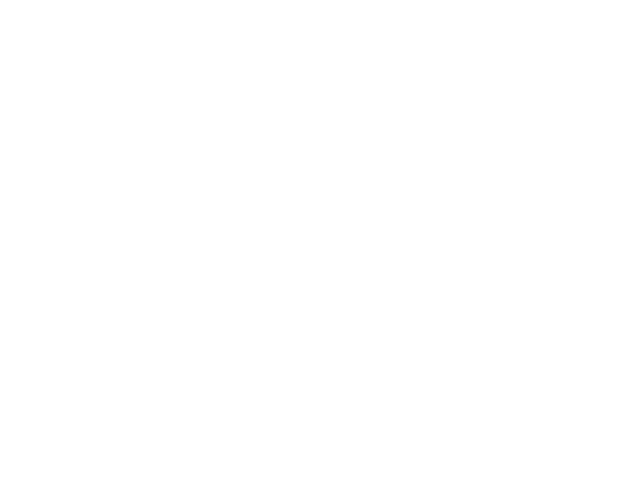Ranlic Electrical